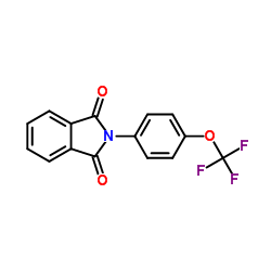 2-[4-(Trifluoromethoxy)phenyl]-1H-isoindole-1,3(2H)-dione Structure