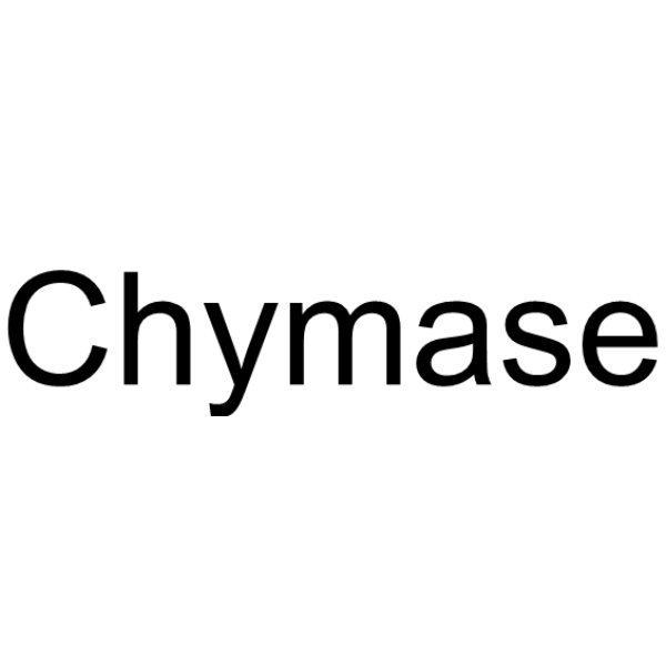 CHYMASE 人 结构式