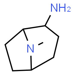 2-氨基-8-甲基-8-氮杂双环[3.2.1]辛烷结构式