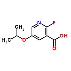 1370025-60-7 structure