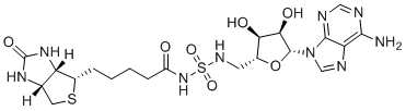 Bio-AMS Structure