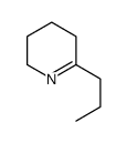 gamma-coniceine结构式