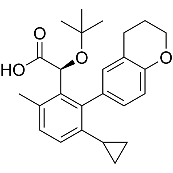 BDM-2 structure