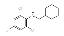 N-环己基甲基-2,4,6-三氯苯胺结构式