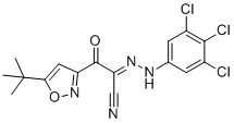 NY-0123 structure