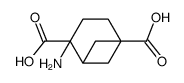 Bicyclo[3.1.1]heptane-1,4-dicarboxylic acid, 4-amino- (9CI) picture