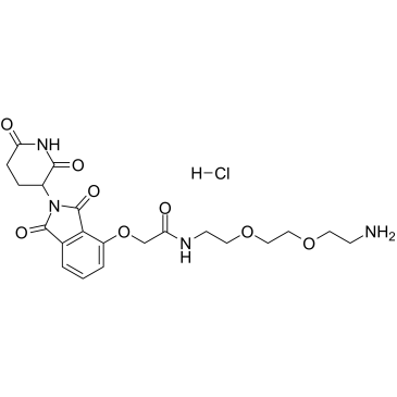 Thalidomide-O-amido-PEG2-C2-NH2 hydrochloride图片