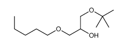 1-[(2-methylpropan-2-yl)oxy]-3-pentoxypropan-2-ol结构式