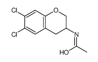 N-(6,7-dichloro-3,4-dihydro-2H-chromen-3-yl)acetamide Structure