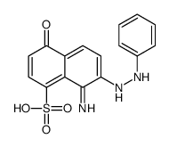 8-imino-4-oxo-7-(2-phenylhydrazinyl)naphthalene-1-sulfonic acid Structure