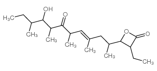 EBELACTONE B picture