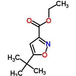 5-叔丁基基-异噁唑-3-甲酸乙酯图片