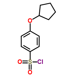 4-(Cyclopentyloxy)benzenesulfonyl chloride结构式