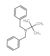 Benzenemethanamine,N-(1,1-dimethylethyl)-N-(phenylmethyl)-结构式