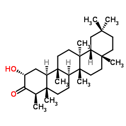 CERIN structure