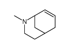 6-methyl-6-azabicyclo[3.3.1]non-3-ene结构式