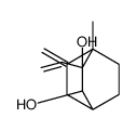 3-ethenyl-4-methyl-5-methylidenebicyclo[2.2.2]octane-2,3-diol结构式