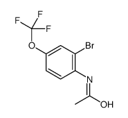 N1-[2-bromo-4-(trifluoromethoxy)phenyl]Acetamide picture