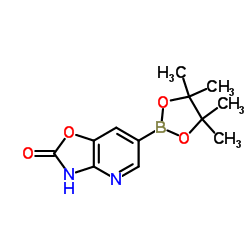 6-(4,4,5,5-Tetramethyl-1,3,2-dioxaborolan-2-yl)[1,3]oxazolo[4,5-b]pyridin-2(3H)-one结构式