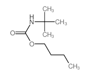 Butyl-N-tert-butyl carbamate结构式