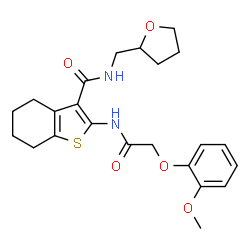 2-{[(2-methoxyphenoxy)acetyl]amino}-N-(tetrahydro-2-furanylmethyl)-4,5,6,7-tetrahydro-1-benzothiophene-3-carboxamide结构式