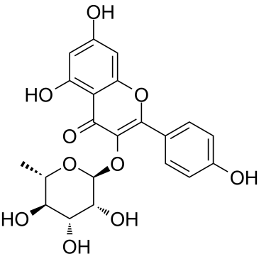 482-39-3结构式