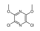 2,6-dichloro-3,5-dimethoxy-pyrazine结构式