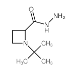 2-Azetidinecarboxylicacid, 1-(1,1-dimethylethyl)-, hydrazide Structure