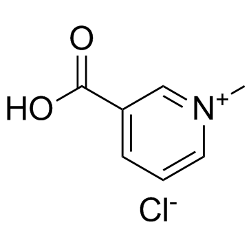 Trigonelline chloride Structure