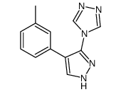 62538-00-5结构式