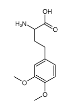 2-amino-4-(3,4-dimethoxyphenyl)butanoic acid Structure