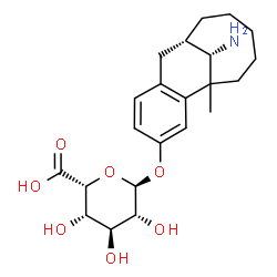 dezocine glucuronide Structure