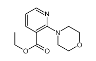 ethyl 2-morpholin-4-ylpyridine-3-carboxylate图片