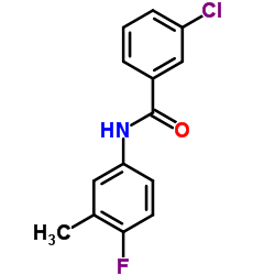 3-Chloro-N-(4-fluoro-3-methylphenyl)benzamide Structure