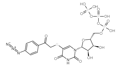 5-((4-azidophenacyl)thio)uridine 5'-triphosphate结构式