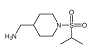 (1-propan-2-ylsulfonylpiperidin-4-yl)methanamine Structure