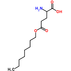 2-Amino-5-(octyloxy)-5-oxopentanoic acid结构式