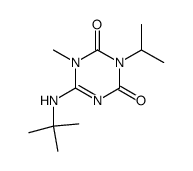 6-tert-butylamino-3-isopropyl-1-methyl-1H-[1,3,5]triazine-2,4-dione Structure