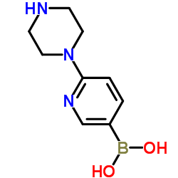 6-(piperazin-1-yl)pyridin-3-ylboronic acid picture