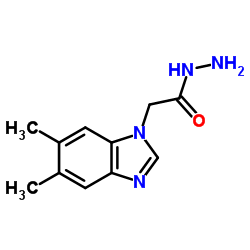 2-(5,6-Dimethyl-1H-benzimidazol-1-yl)acetohydrazide structure