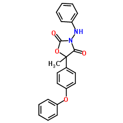 恶唑酮菌图片