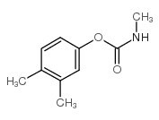 2425-10-7结构式