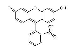 53677-97-7 structure