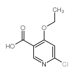 6-氯-4-乙氧基烟酸图片