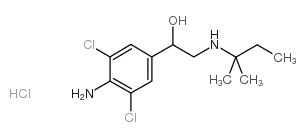 克伦潘特 盐酸盐图片