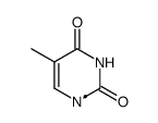 thymin-1-yl radical Structure