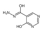 5-Pyrimidinecarboxylic acid,4-hydroxy-,hydrazide (7CI)结构式