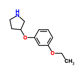 3-(3-Ethoxyphenoxy)pyrrolidine结构式