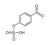 1-nitro-4-sulfooxy-benzene结构式