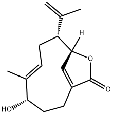 银袋内酯乙图片